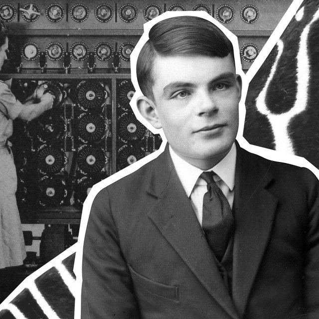 Почему зебры полосатые, а сердце слева: жизнь и невероятные открытия математика Алана Тьюринга