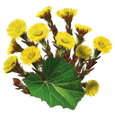 Фото пользователя