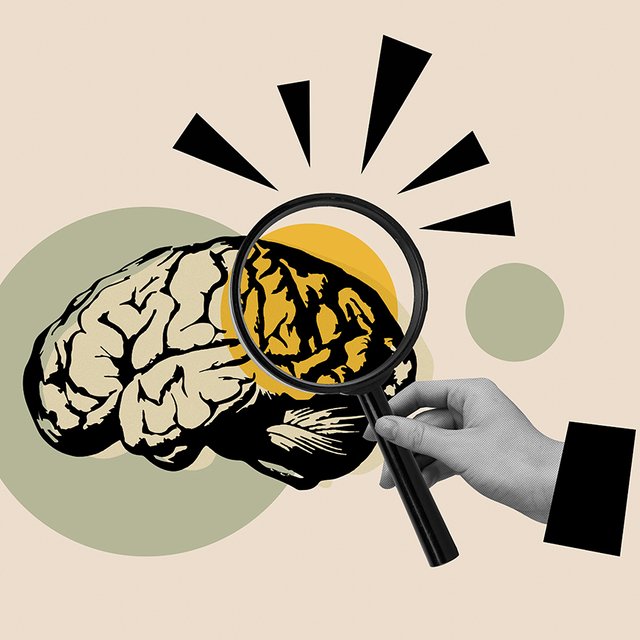 Сколько томов в «Войне и мире»? Тест из 10 вопросов на общую эрудицию