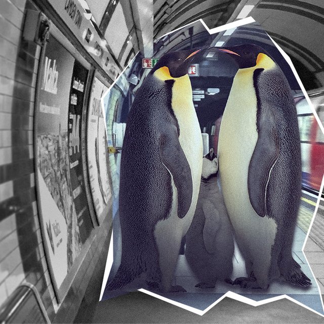 Почему женщины изменяют, а мужчины бросают потомство. Биолог — о нашем социальном поведении