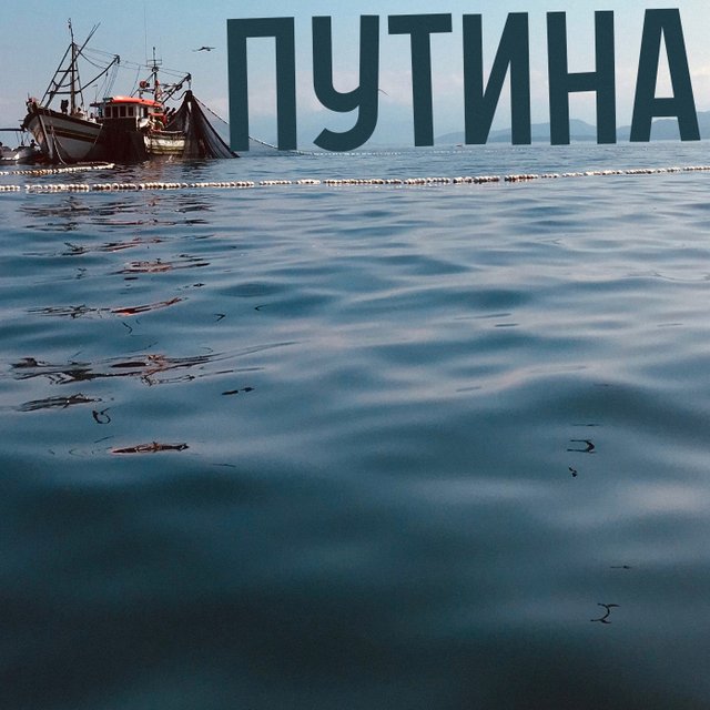 Что такое «путина»? 7 непонятных слов из рассказа Астафьева «Васюткино озеро»