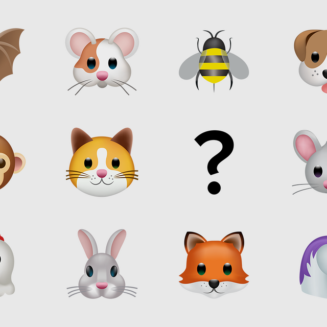 Beetles — это жуки? Или пауки? Тест: как хорошо вы помните названия животных на английском