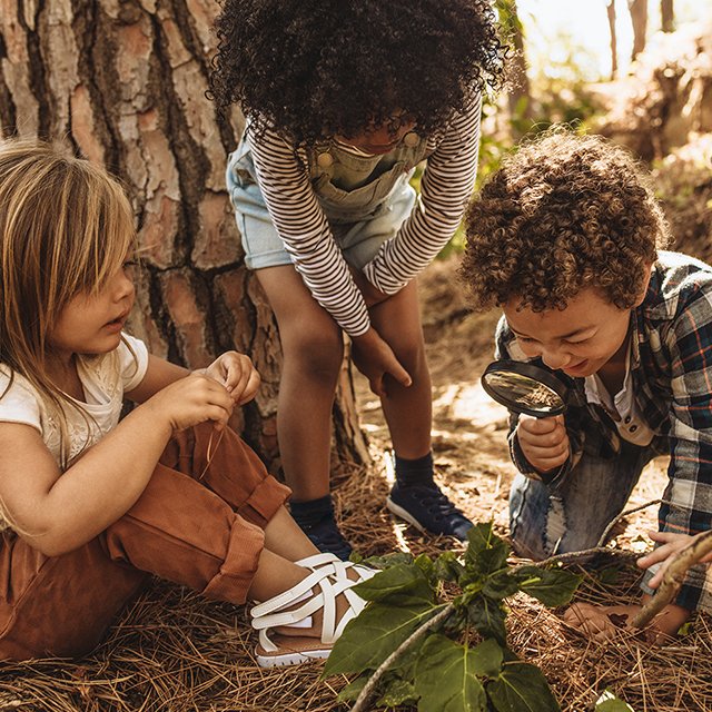 Что такое лесные школы и почему они не помешали бы и нашим детям