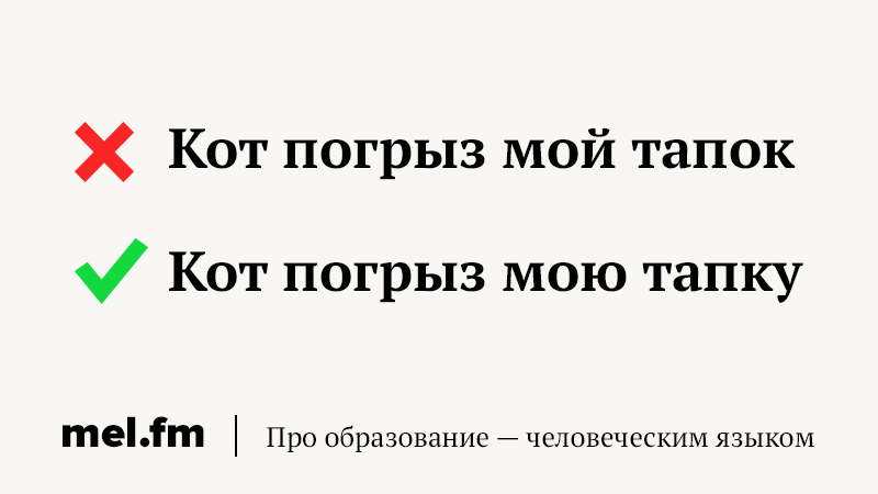 Один тапок или одна тапка. Слова которые часто пишут неправильно. Тапок или тапка как правильно. Короче или кароче как правильно. Неправильно написанные бренды.