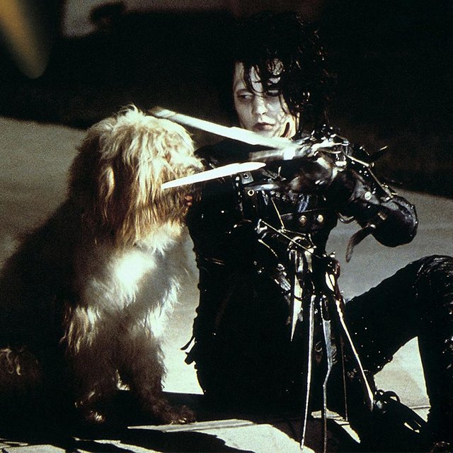 «Ровнять» или «равнять»: как писать правильно