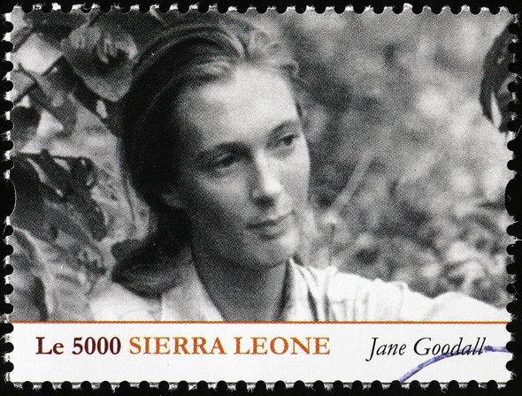 символ, женщина, почта, ученый, почтовый штемпель, марка, натюрморт, британский, используемый, филателистический, пионер, экология, Джейн Гудолл, бумага, почта, почтовая марка, филателия, открытка, Гомбе, животные, этология, коммуникация, почтовая марка, дикая природа, Танзания, Африка, природа, бинокль, переписка, произведение искусства, коллекция, обезьяны, гашено, почтовая оплата, охрана природы, конверт, африканский, защитник природы, письмо, почтовый, дикий, объект;