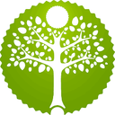 Фото пользователя