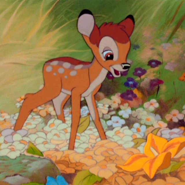 "В книге гораздо больше смертей". Каким был Бэмби до Диснея и что происходит с ним сейчас