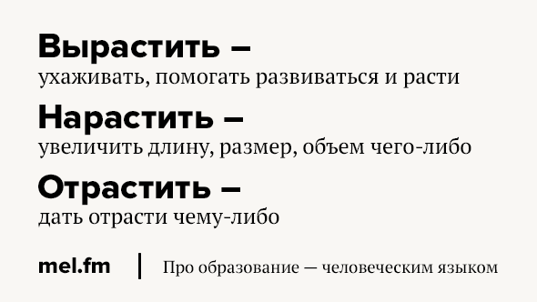 Словарь паронимов ЕГЭ 2025 - Рустьюторс