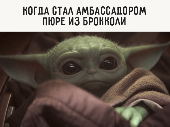 Когда стал амбассадором пюре из брокколи