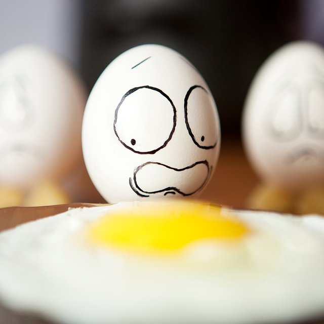 Сколько яиц можно съесть натощак? Тест: 8 детских логических задач, которые ставят в тупик взрослых