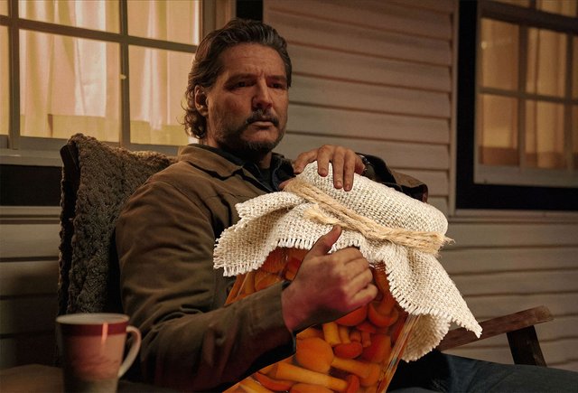 «Любил есть опята» или «любил есть опят»: как говорить правильно