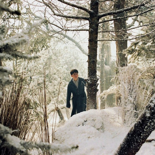 Суздаль или Нарния? Тест: отличите ли вы реальные зимние пейзажи от кадров из кино