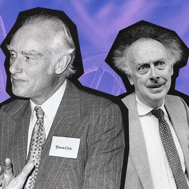 Интриги, ложь и странные случайности — как учёные открывали структуру ДНК