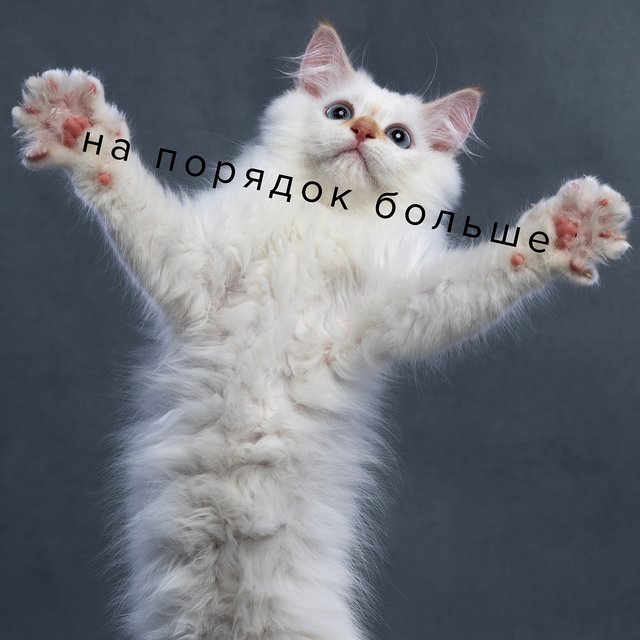 «На порядок больше» — это на сколько?