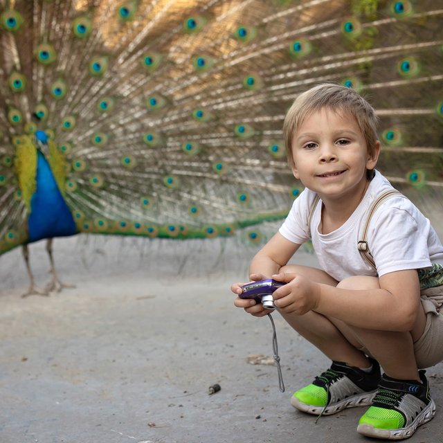 18 событий августа для детей, родителей и педагогов: варенье, комиксы, бесплатное кино