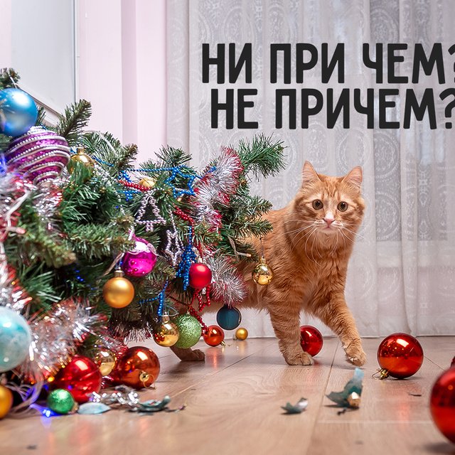 Как правильно: «не причём» или «ни при чём»
