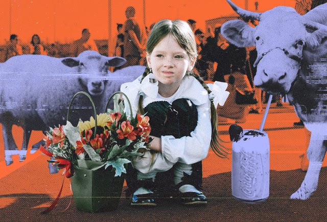 Обложка 10 вопросов для поступающих в первый класс: тест, который пройдут не все родители
