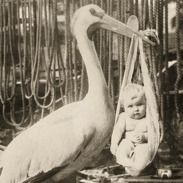 8 старинных слов о беременности и родах: что такое «опростаться», где находится чрево и другие загадки