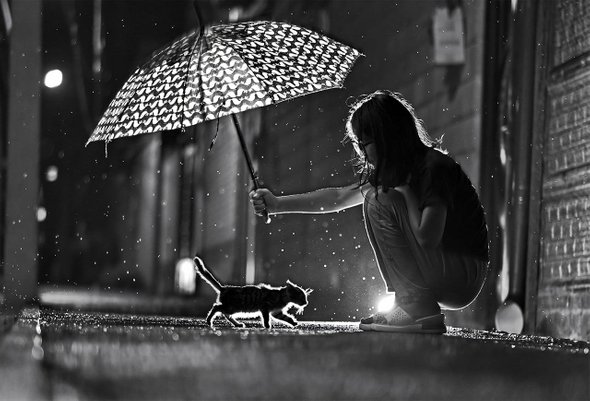 Животные, приют, WOOF, благотворительность