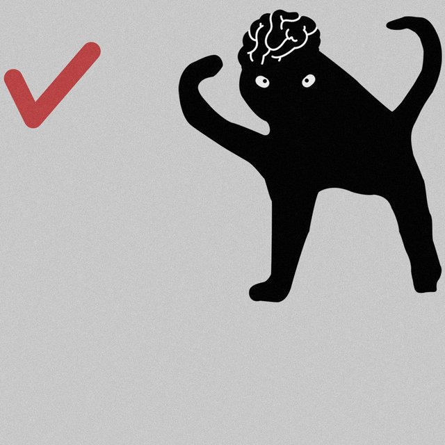 Насколько вы умный человек? 5 тестов «Мела», которые это проверят