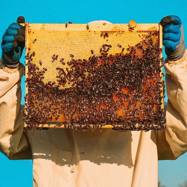 «Больше шестисот» или «больше шестиста»: как говорить правильно