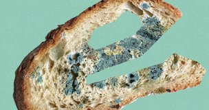 «Пле́сневелый» или «плесневе́лый» хлеб? Как правильно говорить