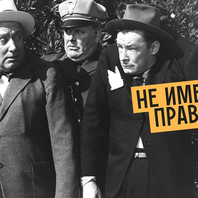 «Вы не имеете права» или «не имеете право»: как писать правильно