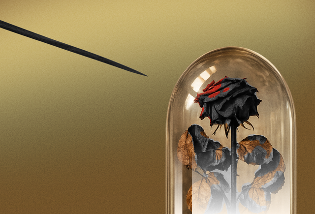 «Учитель сказал — я сделал». Почему исполнительность школьника — это проблема