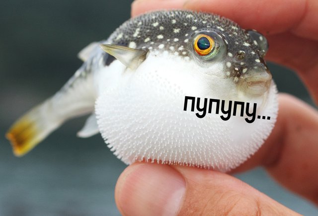 Что значит «пупупу» — возможное слово года по версии портала «Грамота.ру»