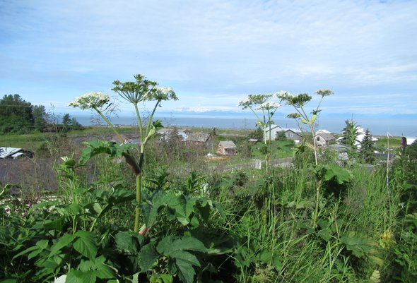Вид на деревню Нинильчик
