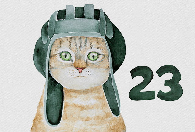 Обложка Почему в России забыли про смысл праздников 23 февраля и 8 марта