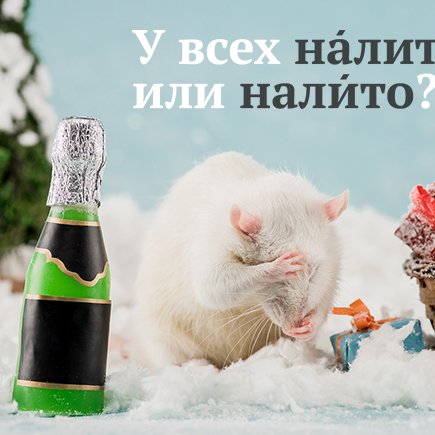10 сложных новогодних слов, которые помогут грамотно встретить 2020 год
