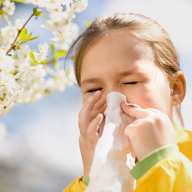 Как понять, что у ребёнка не насморк, а аллергия на цветение?