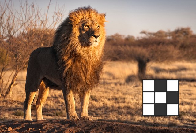 Царь зверей — это кто? Кроссворд на знание животного мира