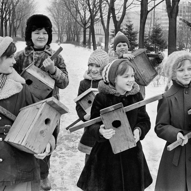 «Жирафов не разделываем». Как в СССР появились юные натуралисты и чем сейчас заняты юннаты