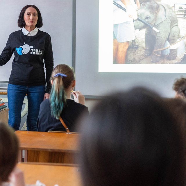 «Жестокость по отношению к животным не редкость среди детей». Что такое биоэтика и зачем она в школе