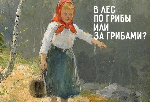 Что я готовлю из лесных грибов. Такого вы точно не пробовали