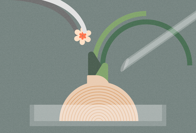 Так рождаются заблуждения: 13 мифов о бесплодии и ЭКО, которые пора забыть