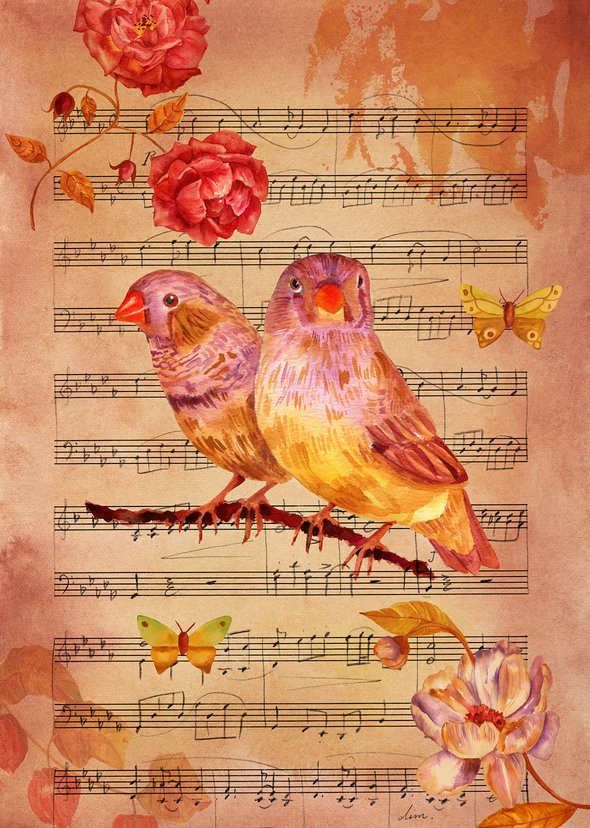 пергамент, пара, коллаж, цвет, желтый, пятно, красивый, состаренный, деревенский, музыка, ботанический, бумага, почта, открытка, романтический, бабочка, птица, рисунок, золотой, лист, ручная работа, викторианский, цветочный, гранж, акварель, старый, состаренный, ретро, художественный, абстрактный, произведение искусства, коричневый, вода, творческий, пара, физалис, цвет, мелодия, акварель, винтаж, иллюстрация, роза, мазок кисти, карточка;