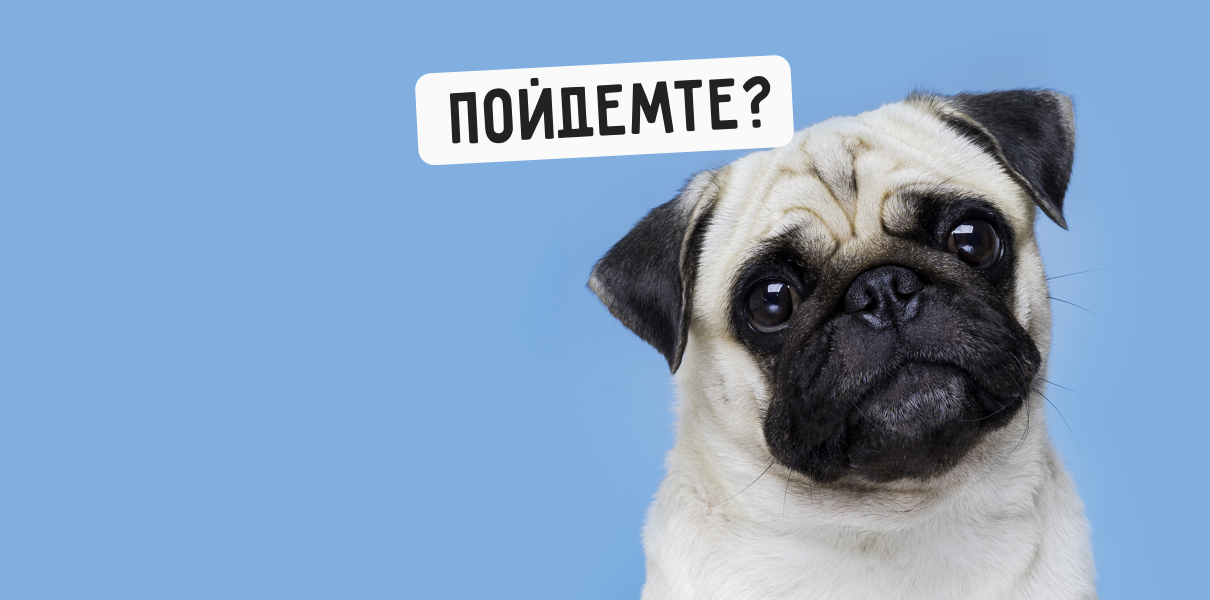 Какое слово лишнее: «пойдёмте», «идёмте» или «пошлите»