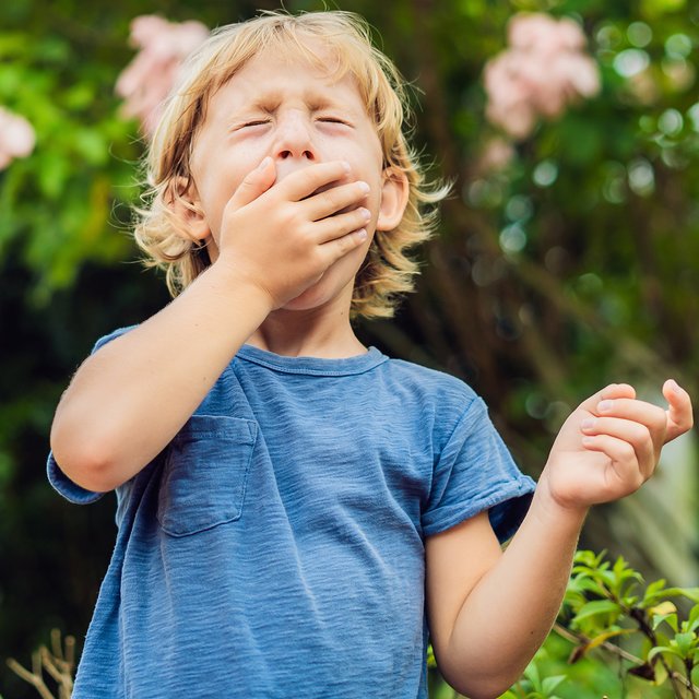 «Сахар — не аллерген». Педиатр — о пищевой аллергии, поллинозе и атопическом дерматите