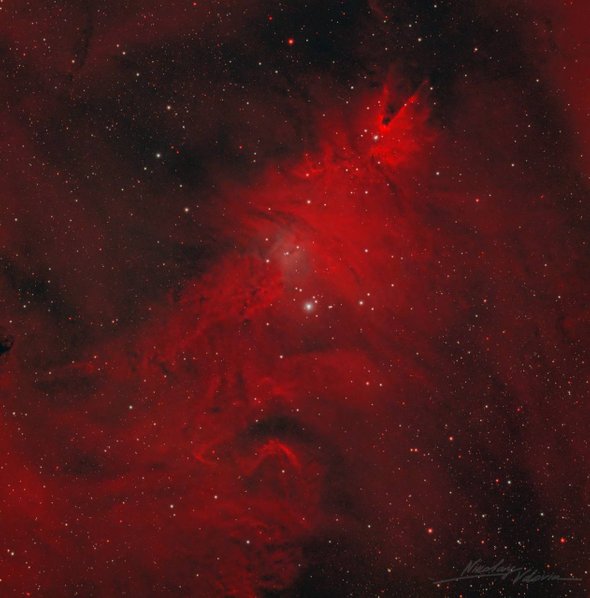 Туманность «Рождественская елка»