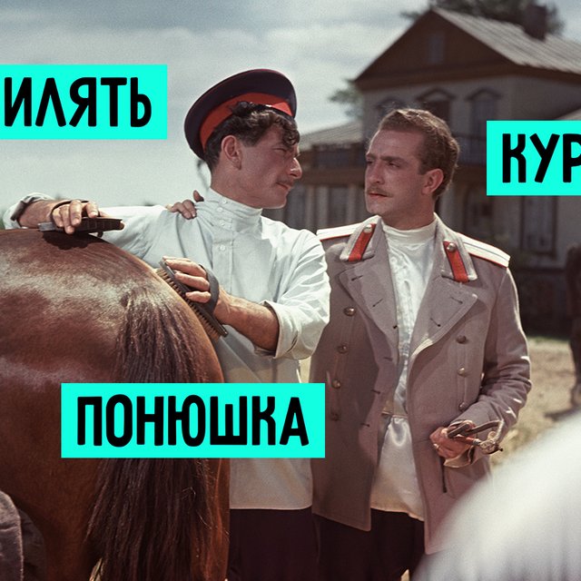 15 непонятных слов из «Тихого Дона» Шолохова: дратва, кутница и прочие жалмерки