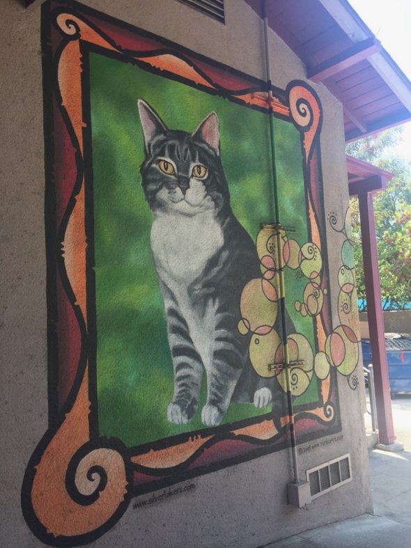 Портрет кота у входа в школу Elysian Heights Elementary