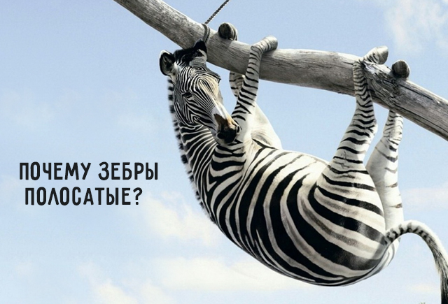 Фильтруй и выделяй: контрольная работа по биологии