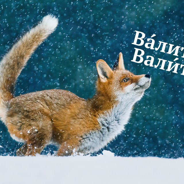 Снег «ва́лит» или «вали́т»: как говорить правильно