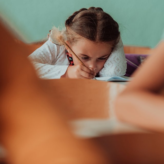 «Всё, ставьте крест на программе». Как и зачем в школе по системе Эльконина — Давыдова ввели отметки