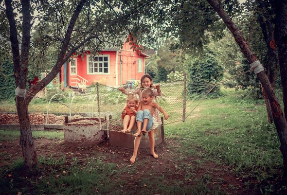 Чем накормить случайного ёжика и стоит ли кормить кошку шашлыком? Тест для тех, кто уже на даче. 7 самых дачных тестов «Мела» — для тех, у кого лето уже началось