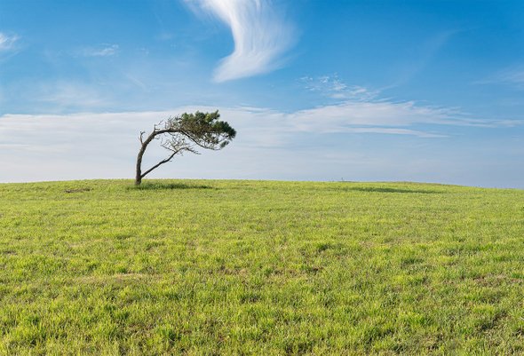 «Что-то у меня начинает болеть голова… или живот…» Как мы сами вгоняем себя в усталость